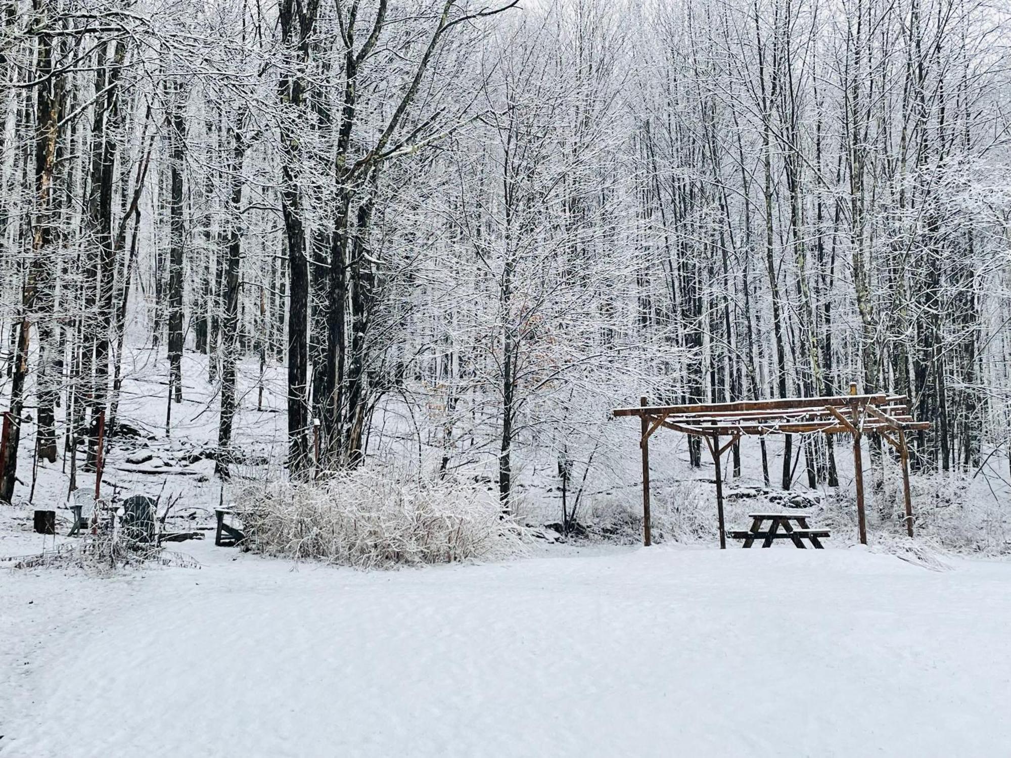 Cozy Cottage With Jacuzzi And Fire Pit And Reading Nook! Livingston Manor Esterno foto